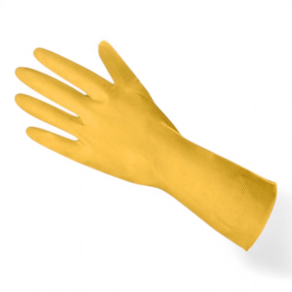 Polythene Gloves [Large] Clear Pairs