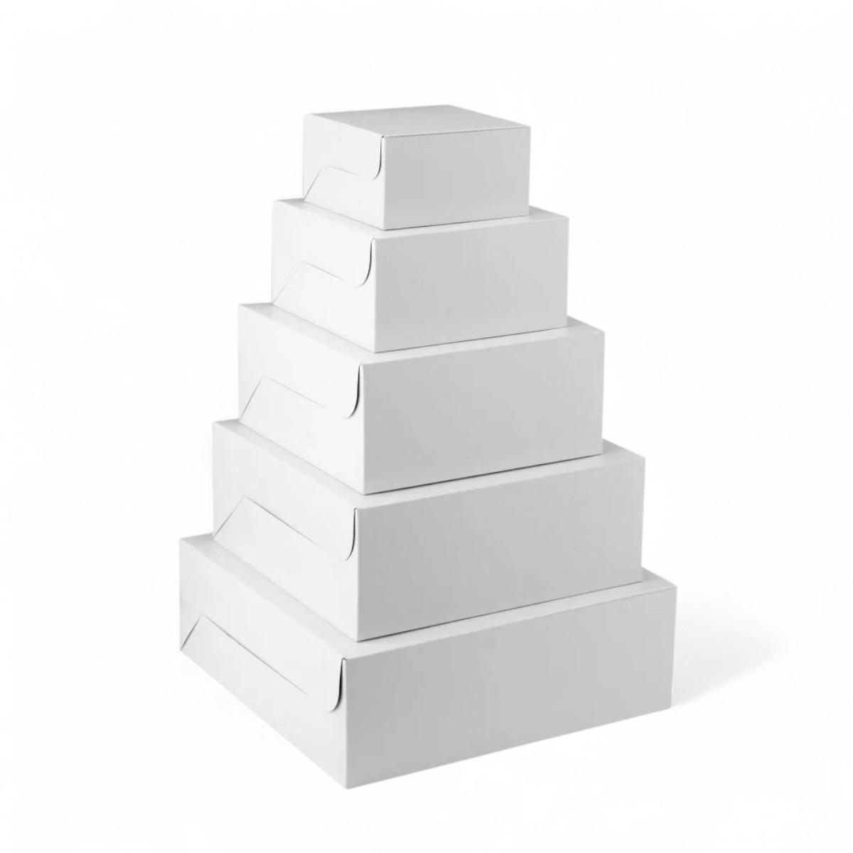 Cake Box All Sizes
