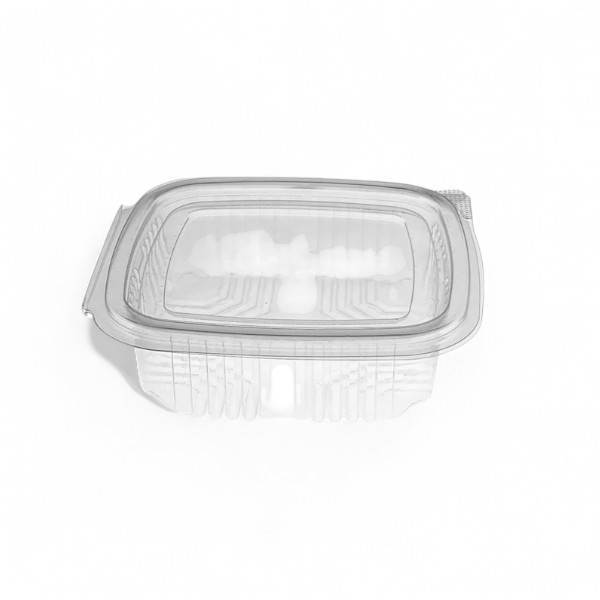 250cc Clear Hinged Rectangular Containers